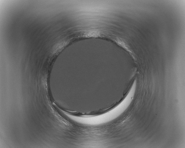 X0000066120681200603131329