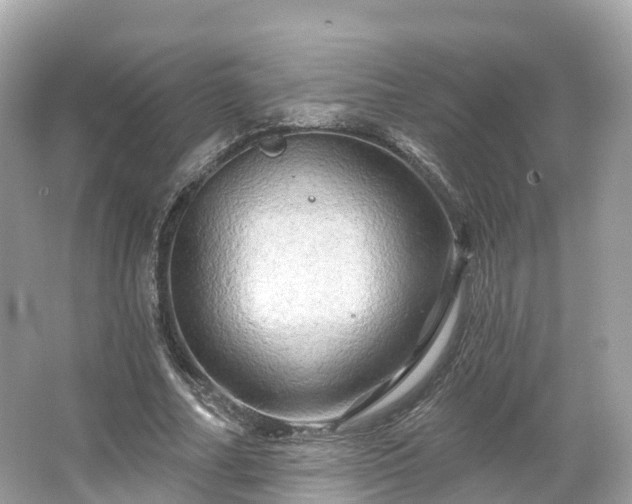 X0000066120682200603131329