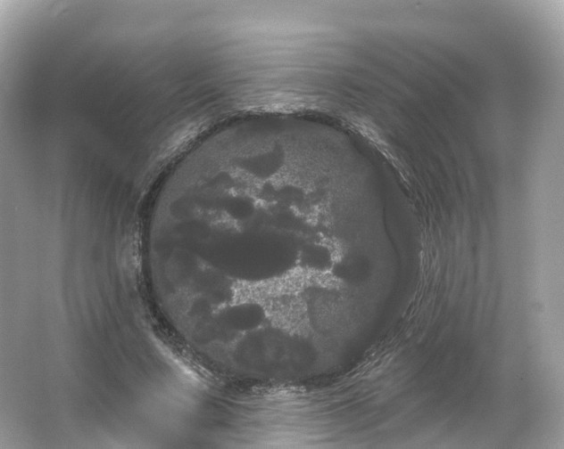 X0000066120683200603131329