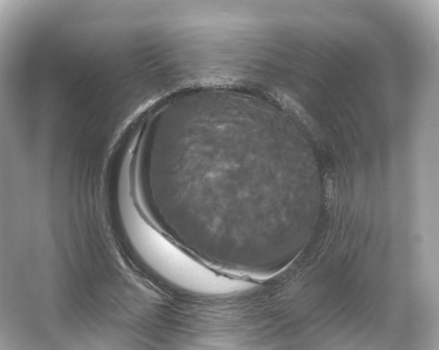 X0000066120684200603131329