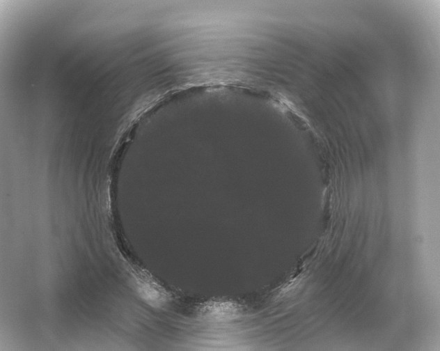 X0000066120685200603131329