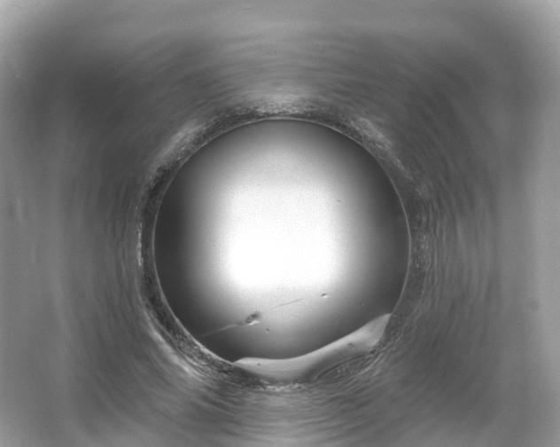 X0000066120686200603131329