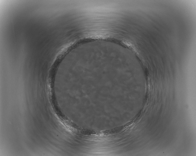 X0000066120688200603131329