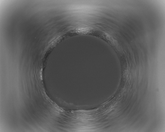 X0000066120689200603131328