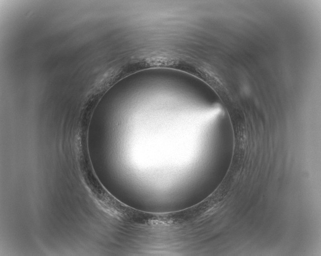 X0000066120690200603131328