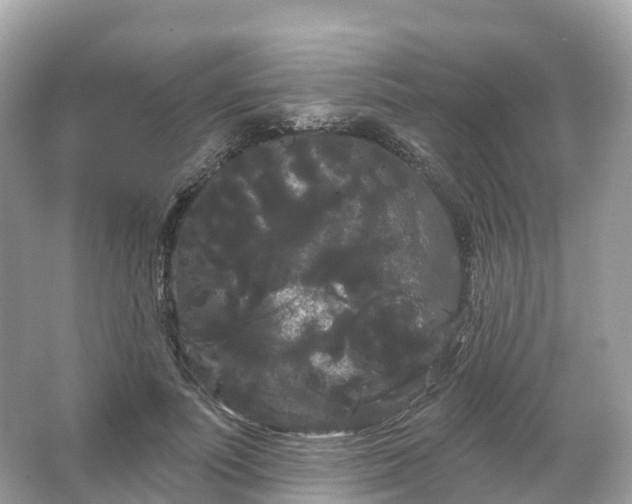 X0000066120691200603131328