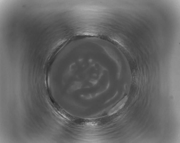 X0000066120692200603131328