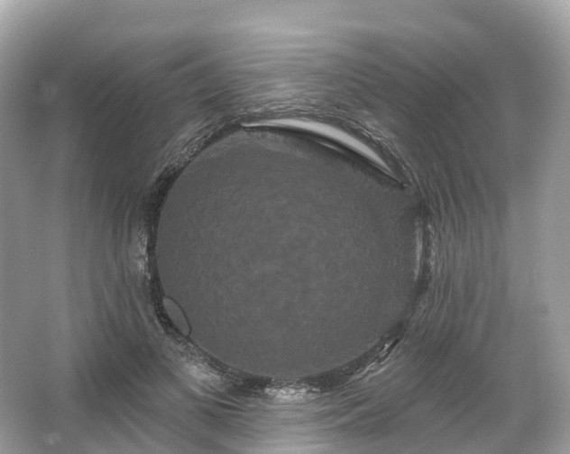 X0000066120693200603131328