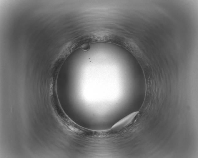 X0000066120694200603131328