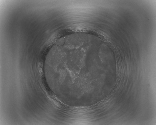 X0000066120695200603131328