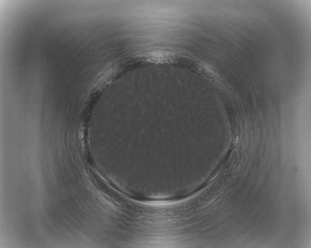 X0000066120696200603131328