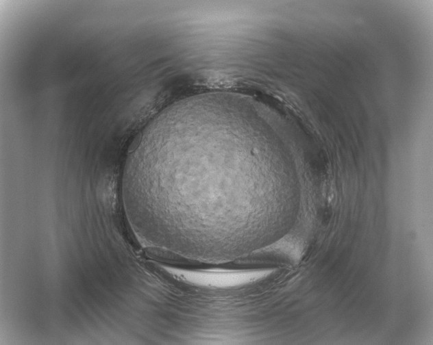 X0000066120697200603131328