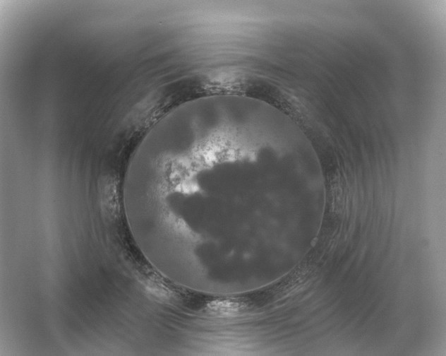 X0000066120699200603131328