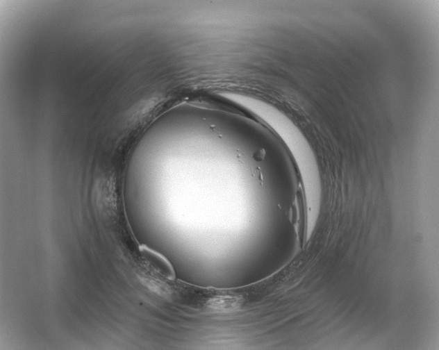 X0000066120700200603131328