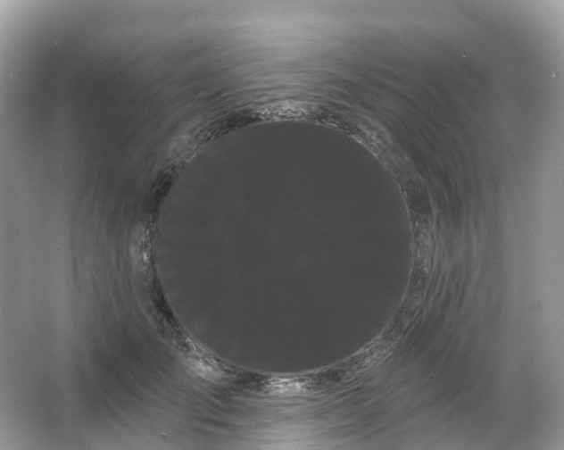 X0000066120701200603131328