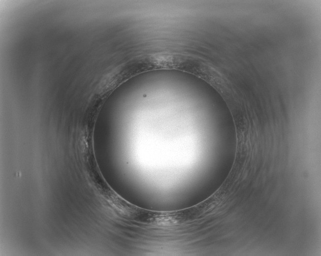 X0000066120702200603131328