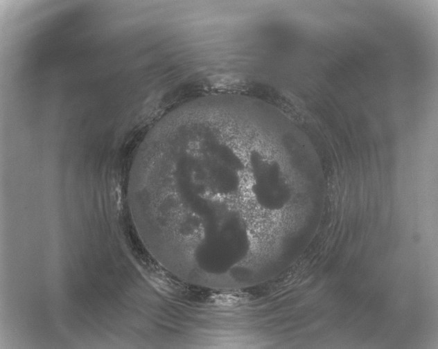 X0000066120703200603131328