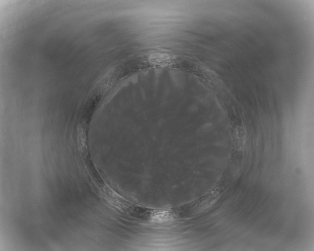 X0000066120705200603131328