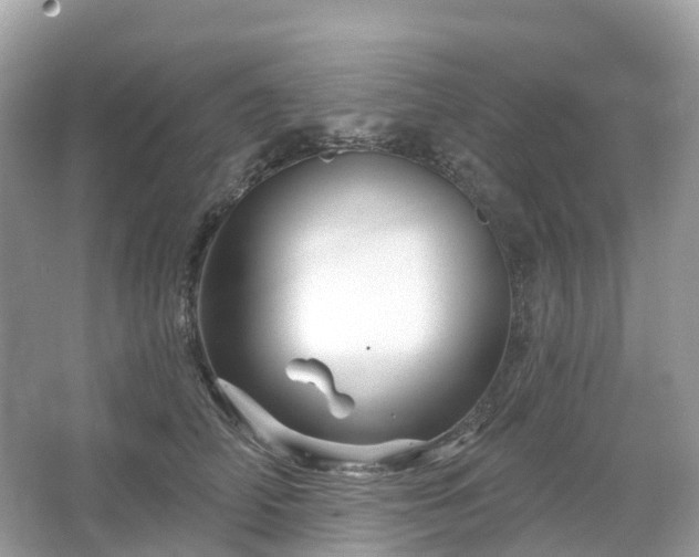 X0000066120706200603131328