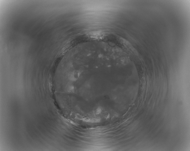 X0000066120707200603131328