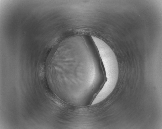 X0000066120708200603131328