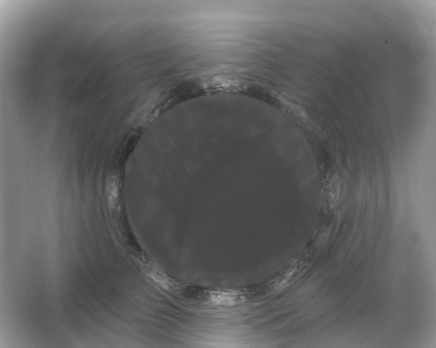 X0000066120709200603131328