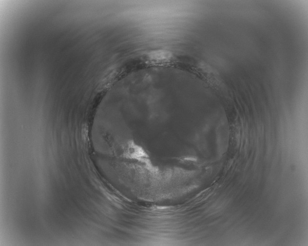 X0000066120711200603131328