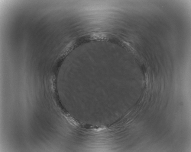 X0000066120712200603131328