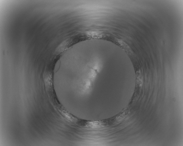 X0000066120713200603131328