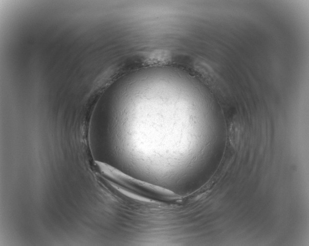 X0000066120714200603131328