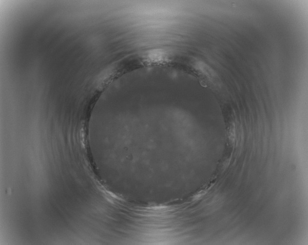 X0000066120715200603131328