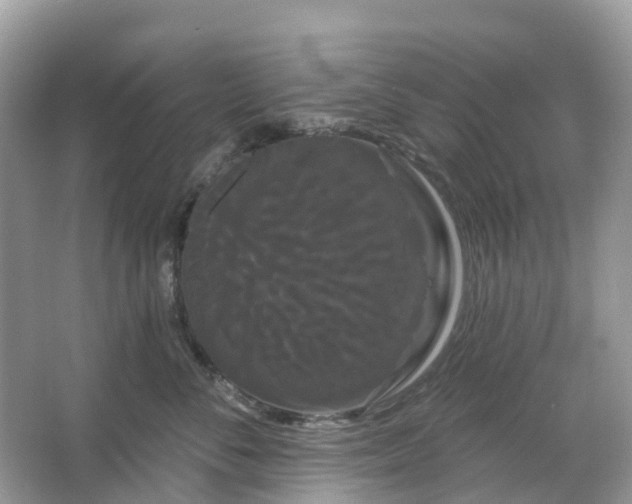 X0000066120716200603131328