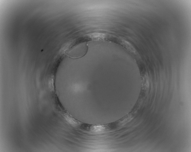 X0000066120717200603131328