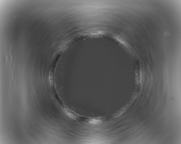 X0000066120718200603131328