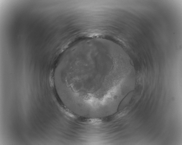 X0000066120719200603131328