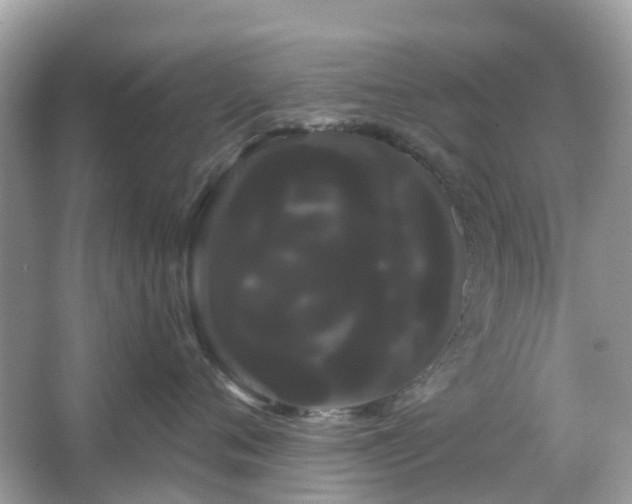 X0000066120720200603131328