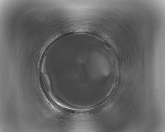 X0000066120721200603131327