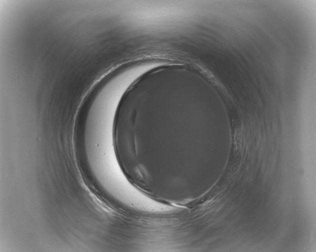 X0000066120722200603131327