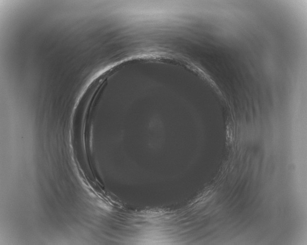 X0000066120724200603131327