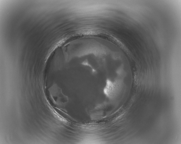 X0000066120725200603131327