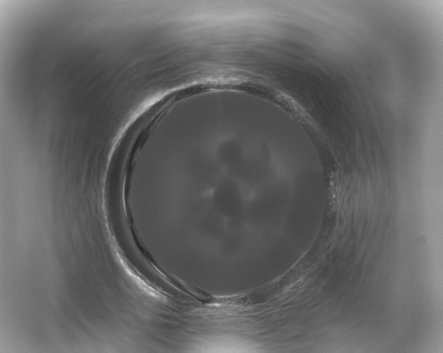 X0000066120726200603131327