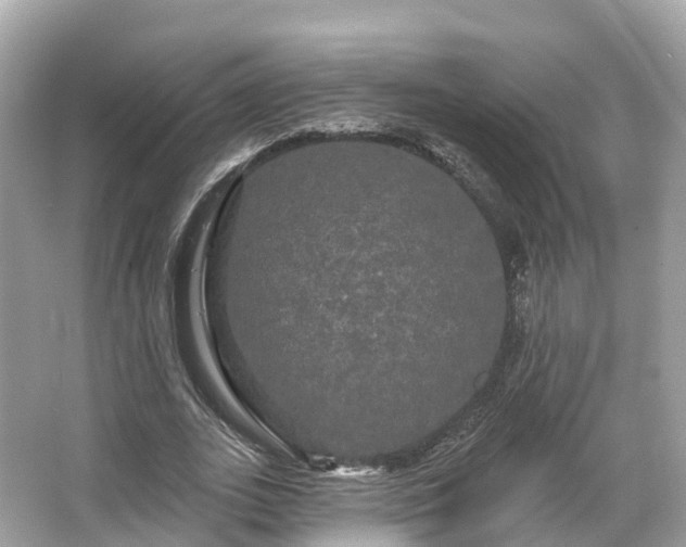 X0000066120727200603131327