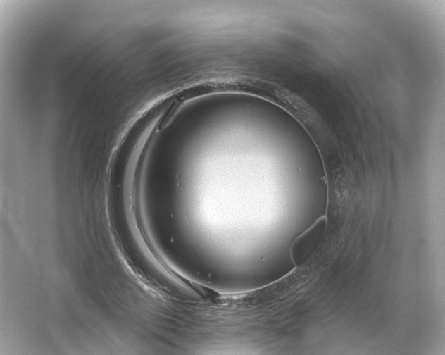 X0000066120728200603131327