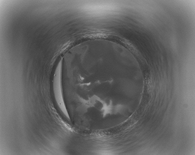 X0000066120729200603131327