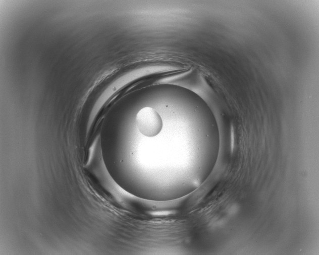 X0000066120731200603131327