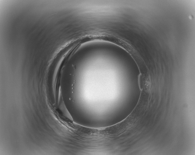 X0000066120732200603131327