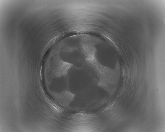 X0000066120733200603131327