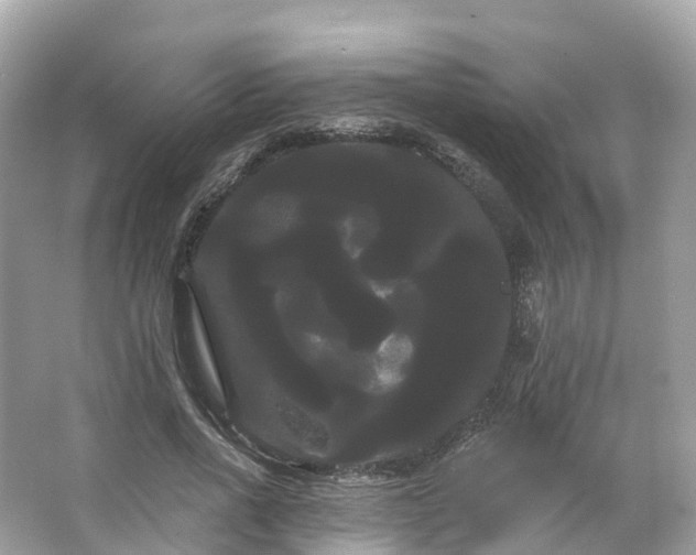 X0000066120734200603131327