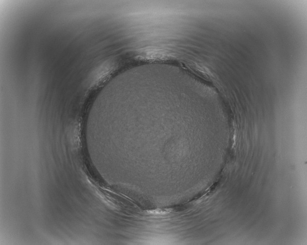 X0000066120735200603131327