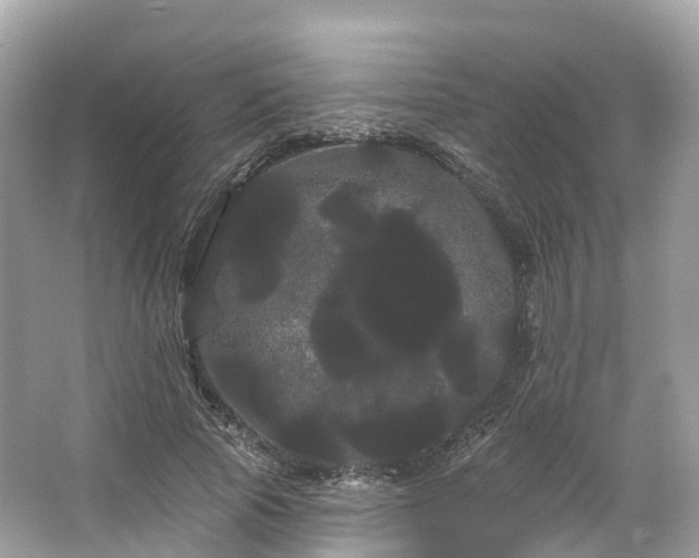 X0000066120737200603131327